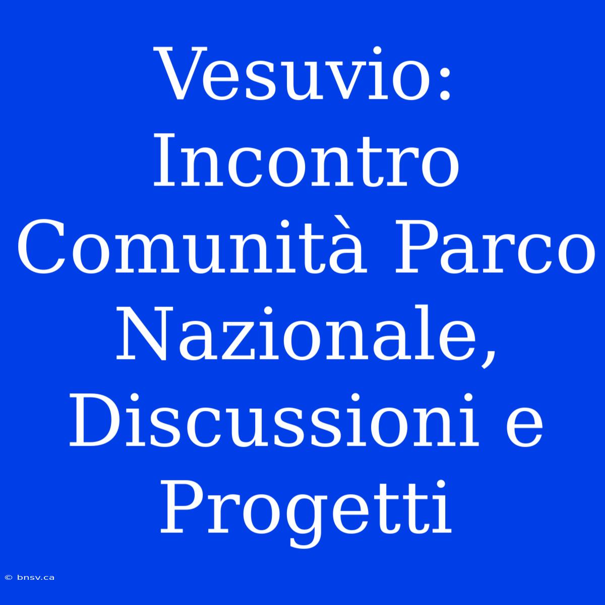 Vesuvio: Incontro Comunità Parco Nazionale, Discussioni E Progetti