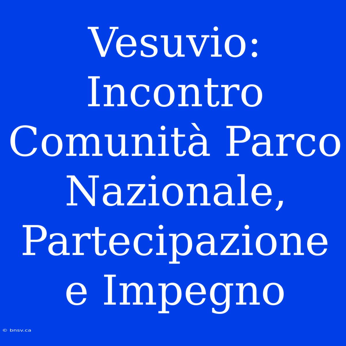 Vesuvio: Incontro Comunità Parco Nazionale, Partecipazione E Impegno