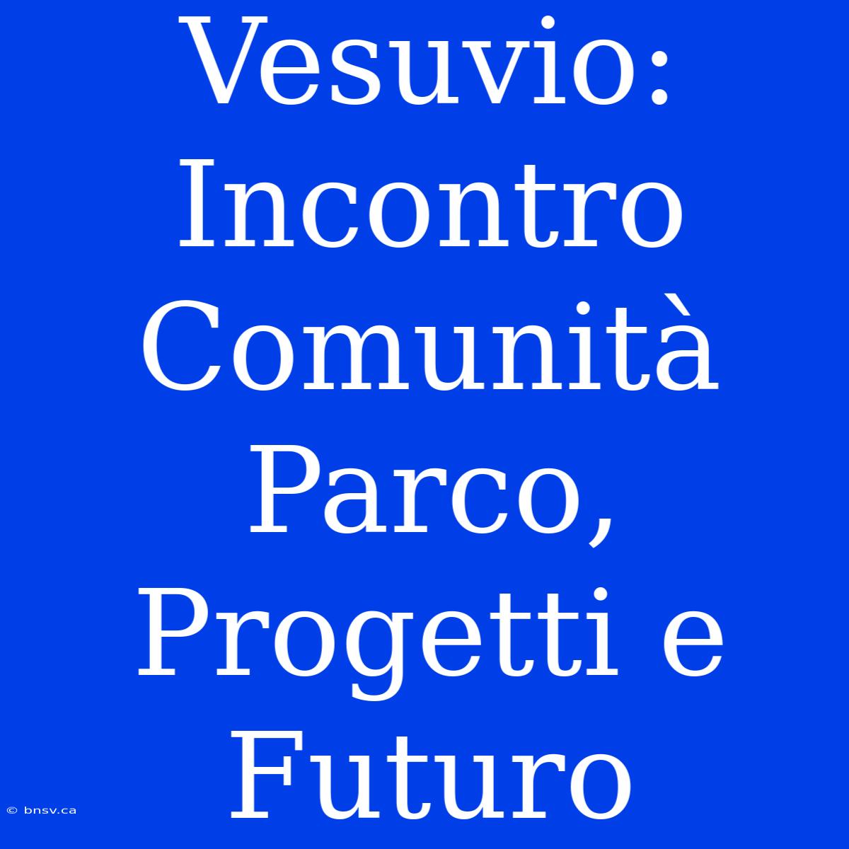 Vesuvio: Incontro Comunità Parco, Progetti E Futuro