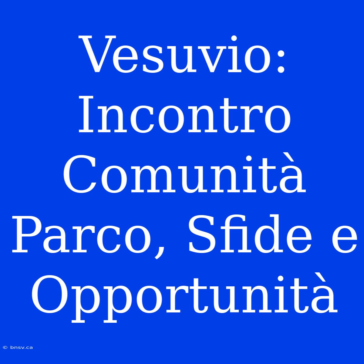 Vesuvio: Incontro Comunità Parco, Sfide E Opportunità