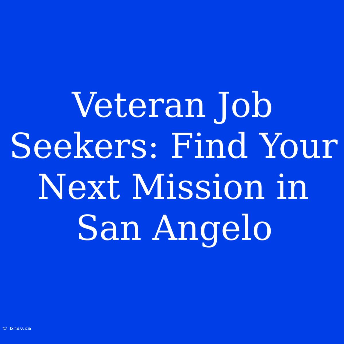 Veteran Job Seekers: Find Your Next Mission In San Angelo