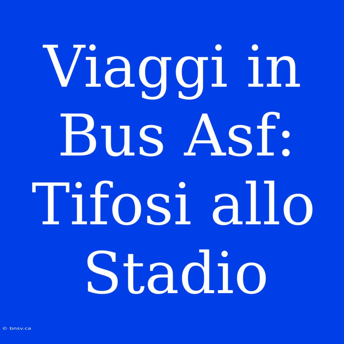 Viaggi In Bus Asf: Tifosi Allo Stadio