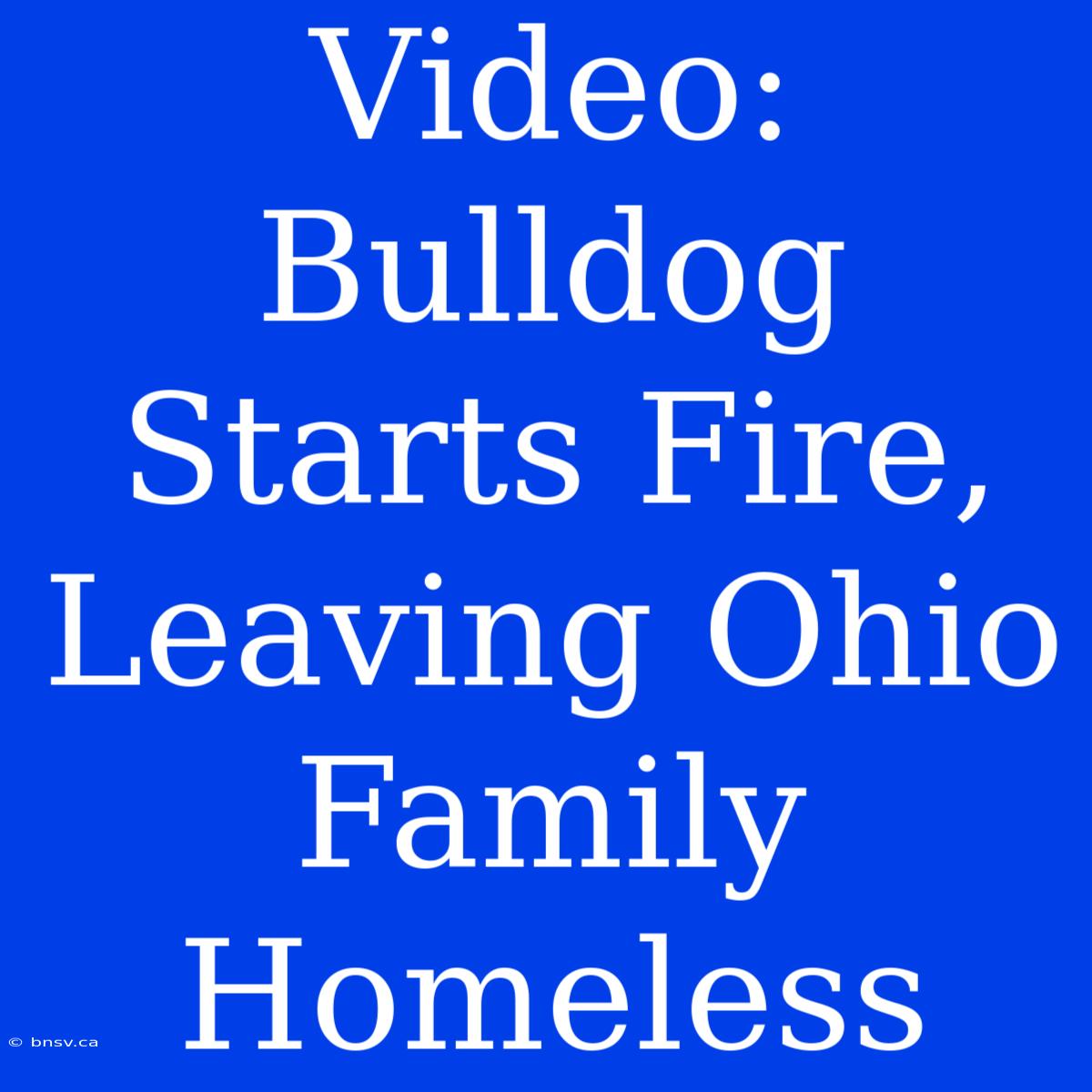 Video: Bulldog Starts Fire, Leaving Ohio Family Homeless