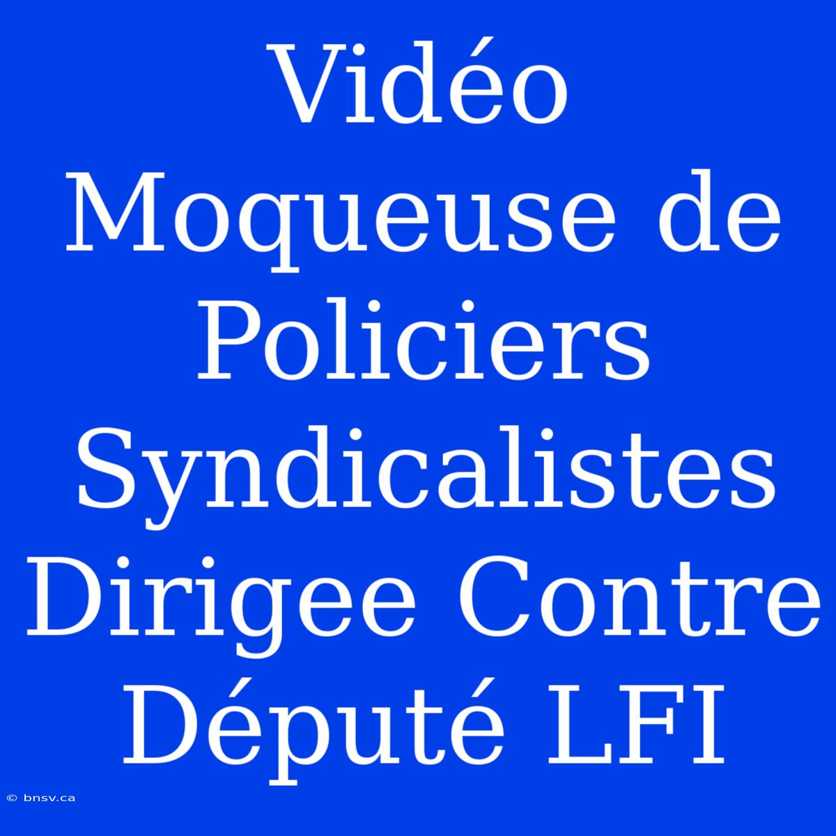 Vidéo Moqueuse De Policiers Syndicalistes Dirigee Contre Député LFI