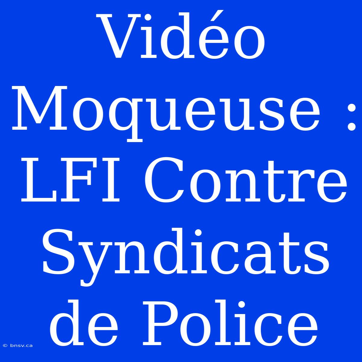 Vidéo Moqueuse : LFI Contre Syndicats De Police