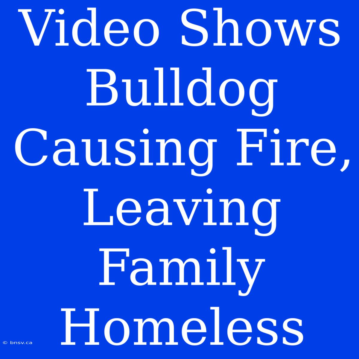 Video Shows Bulldog Causing Fire, Leaving Family Homeless