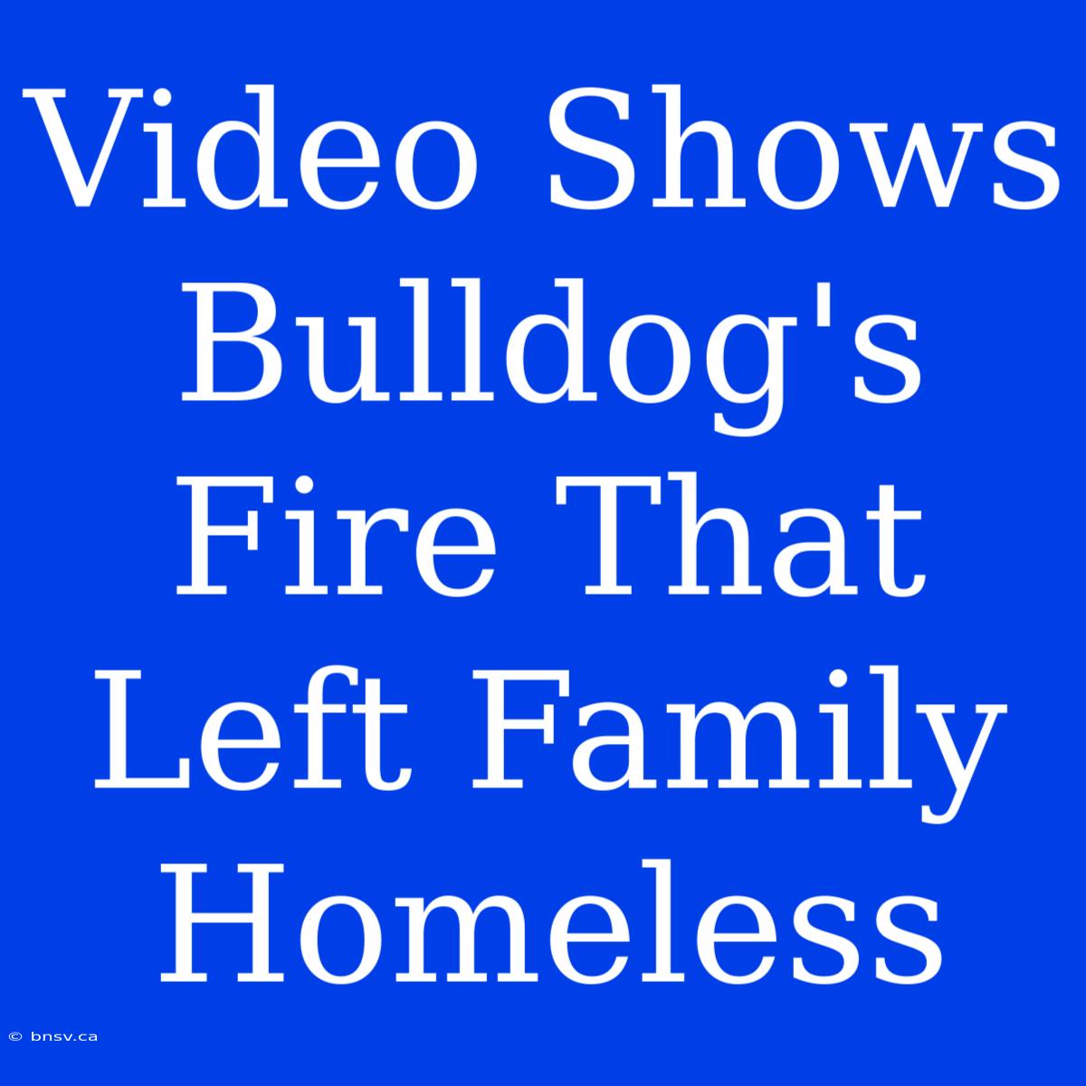 Video Shows Bulldog's Fire That Left Family Homeless