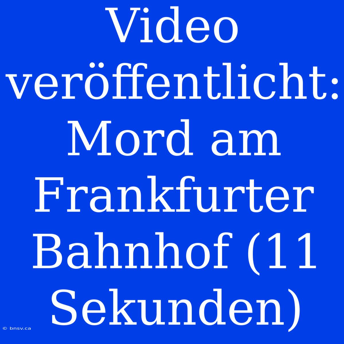 Video Veröffentlicht: Mord Am Frankfurter Bahnhof (11 Sekunden)