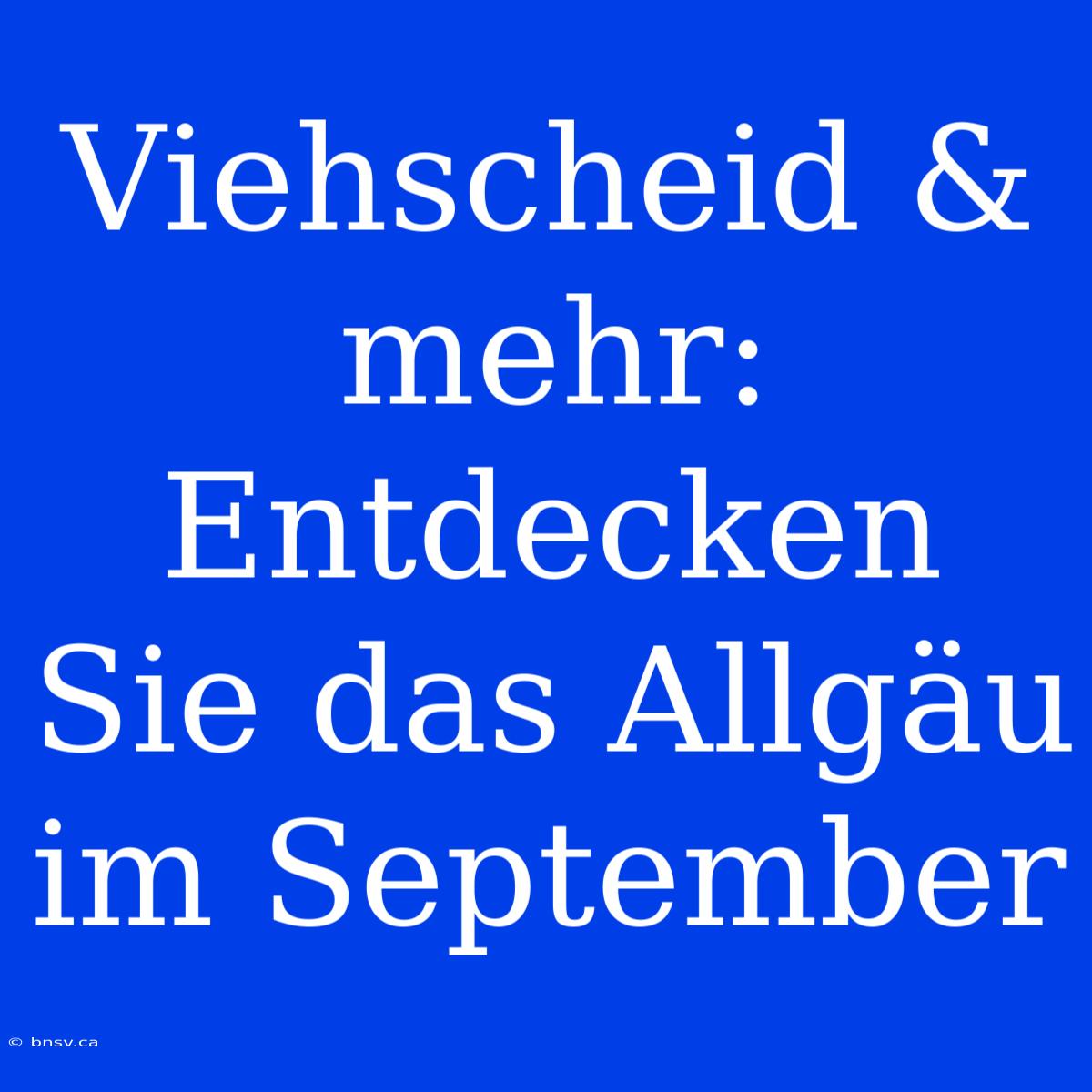 Viehscheid & Mehr: Entdecken Sie Das Allgäu Im September