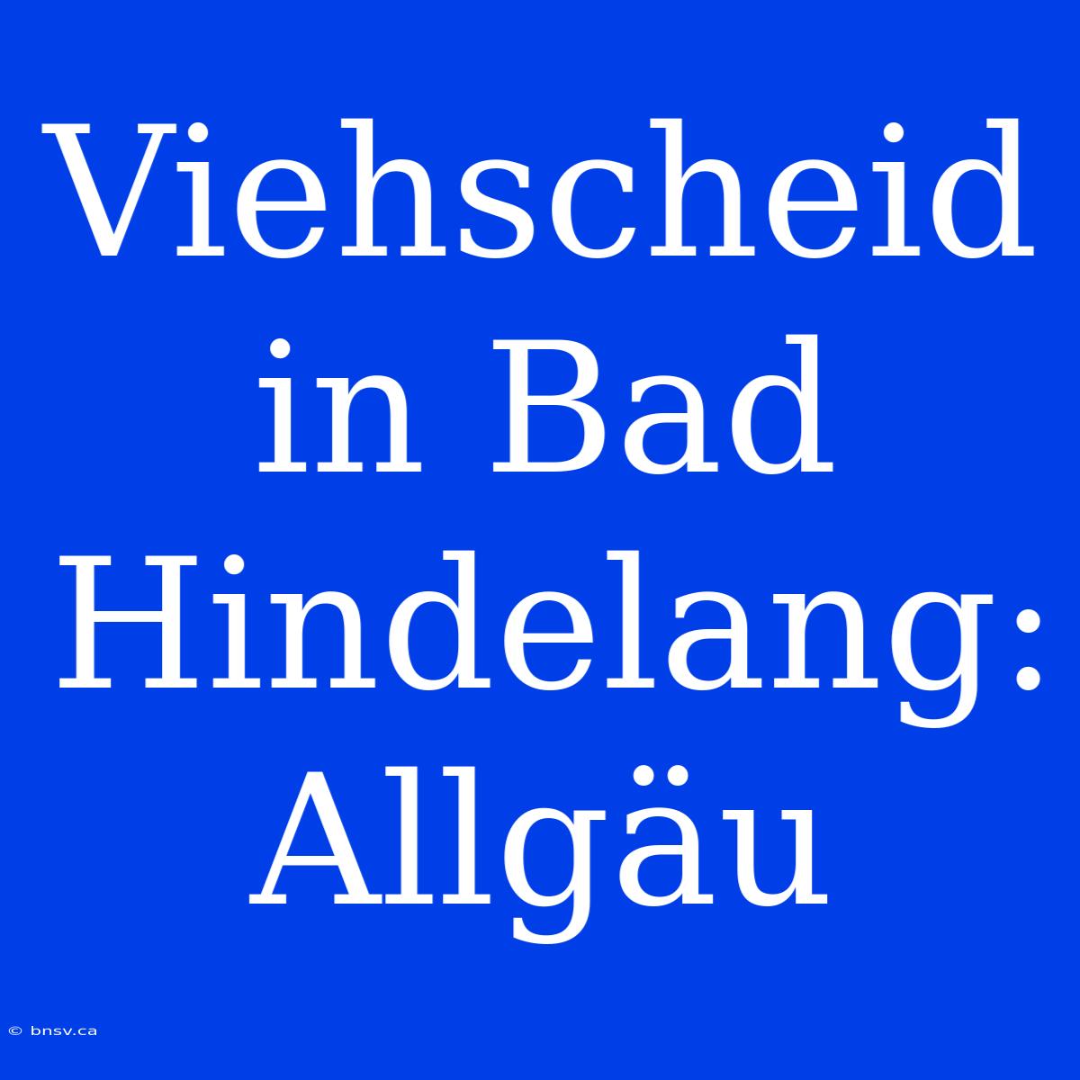 Viehscheid In Bad Hindelang: Allgäu