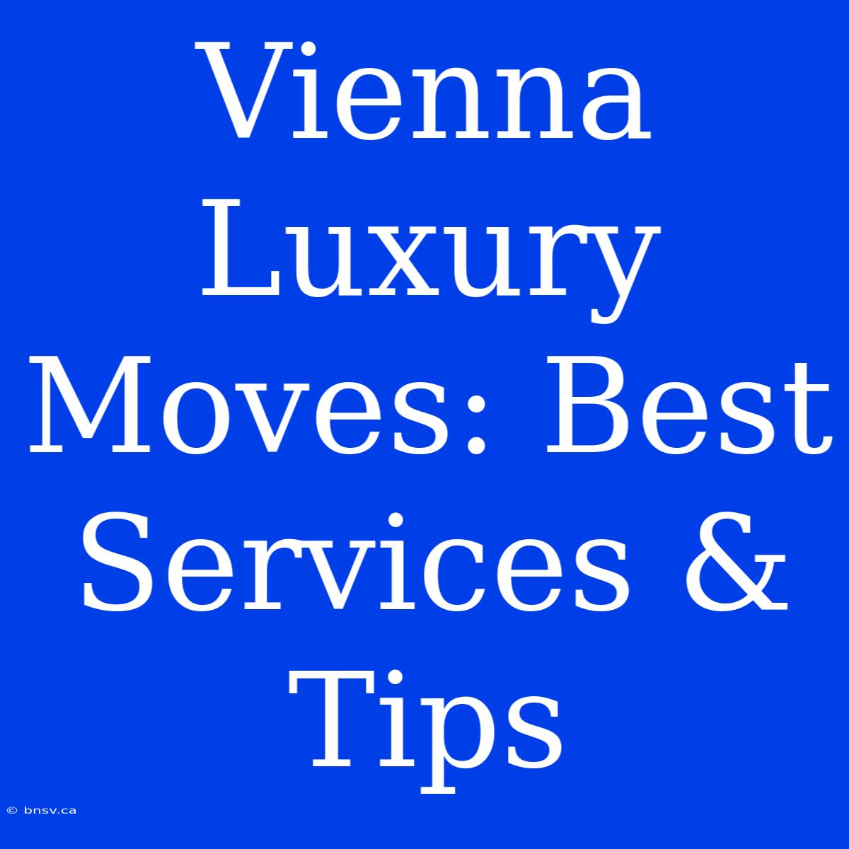 Vienna Luxury Moves: Best Services & Tips