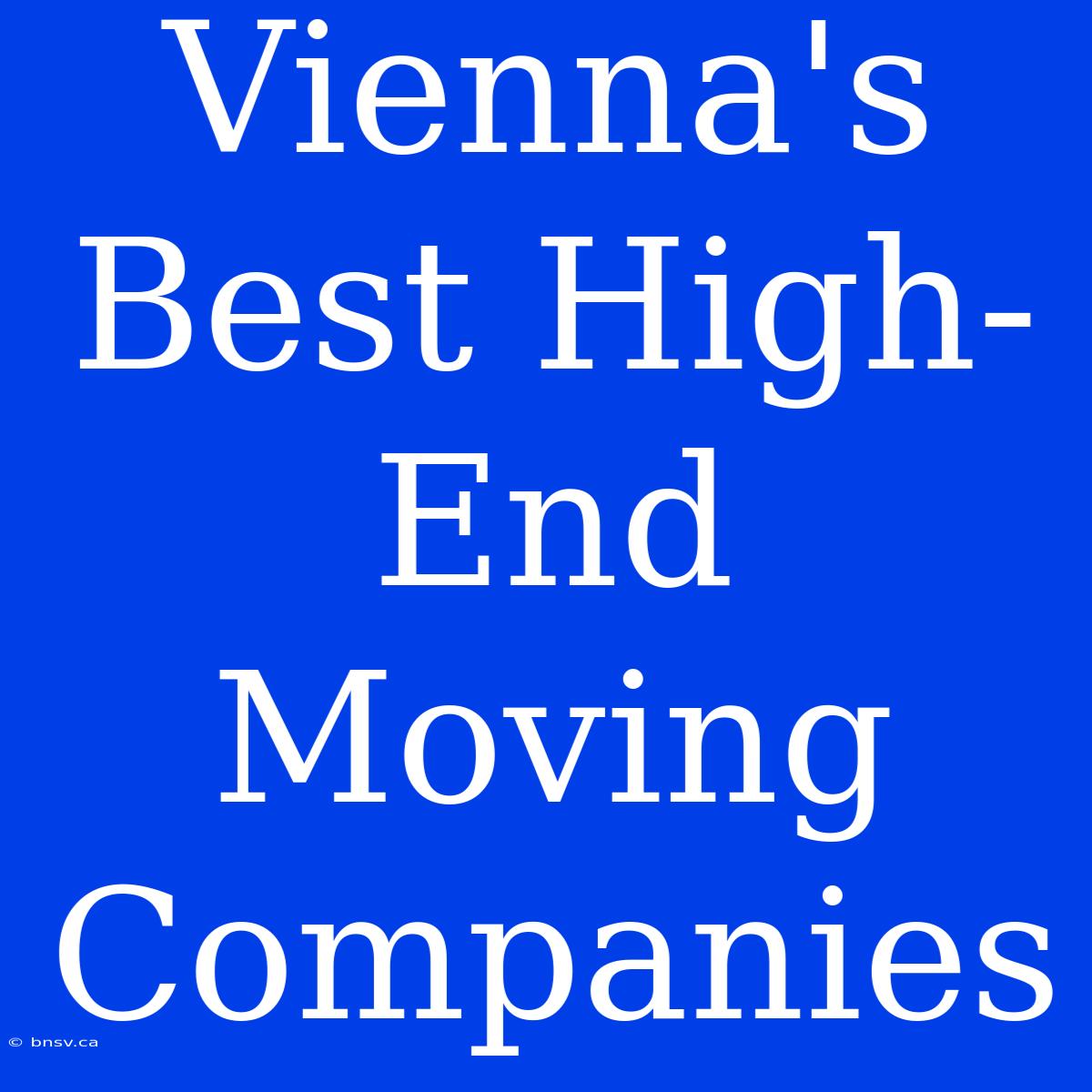 Vienna's Best High-End Moving Companies