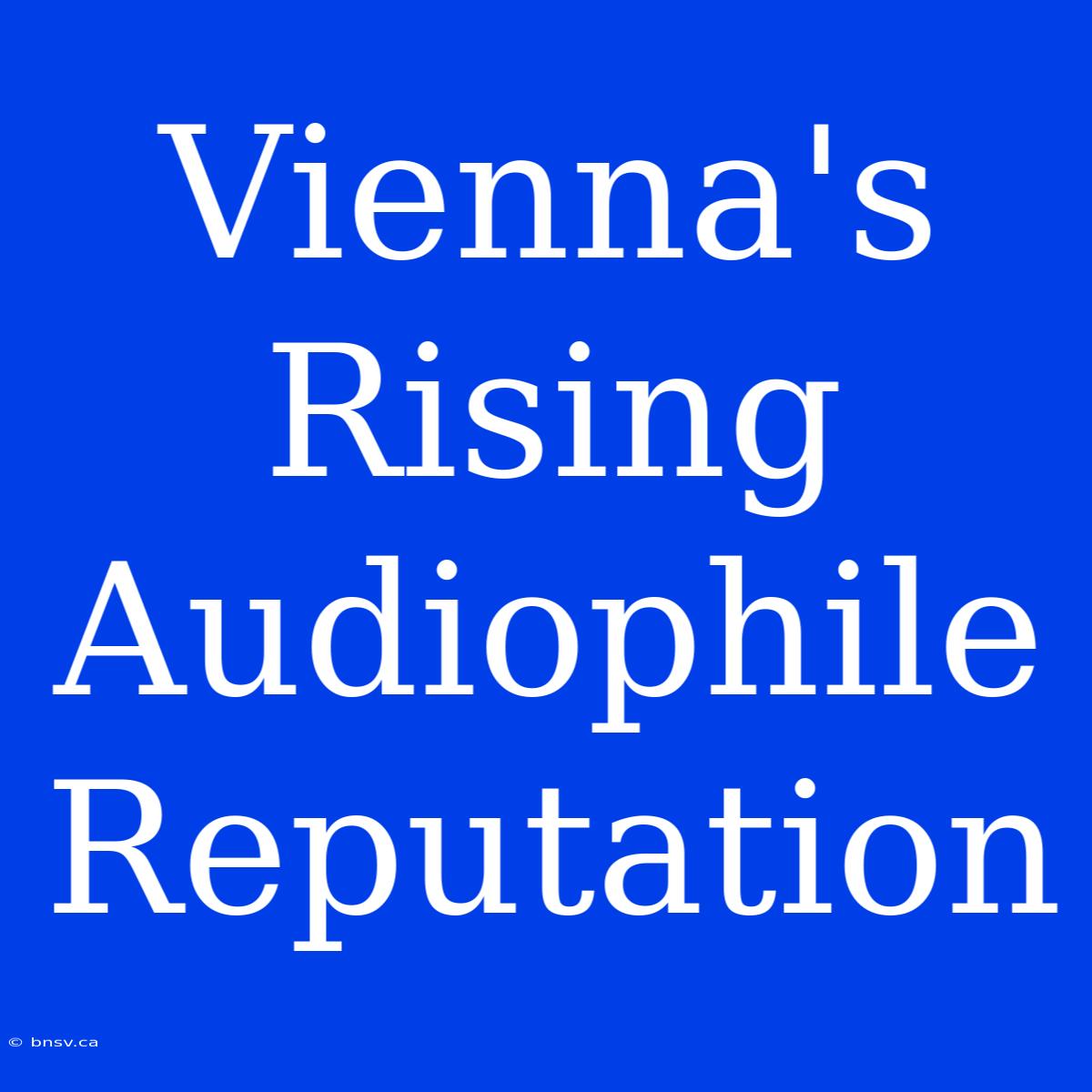 Vienna's Rising Audiophile Reputation