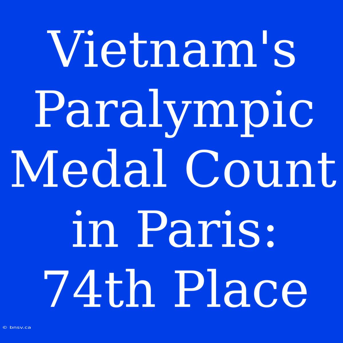 Vietnam's Paralympic Medal Count In Paris: 74th Place