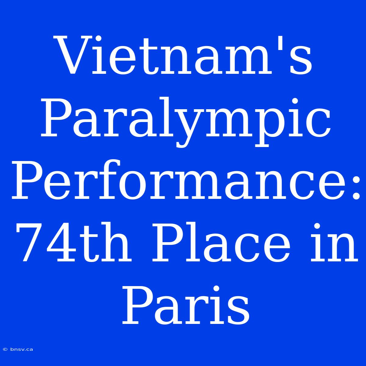 Vietnam's Paralympic Performance: 74th Place In Paris