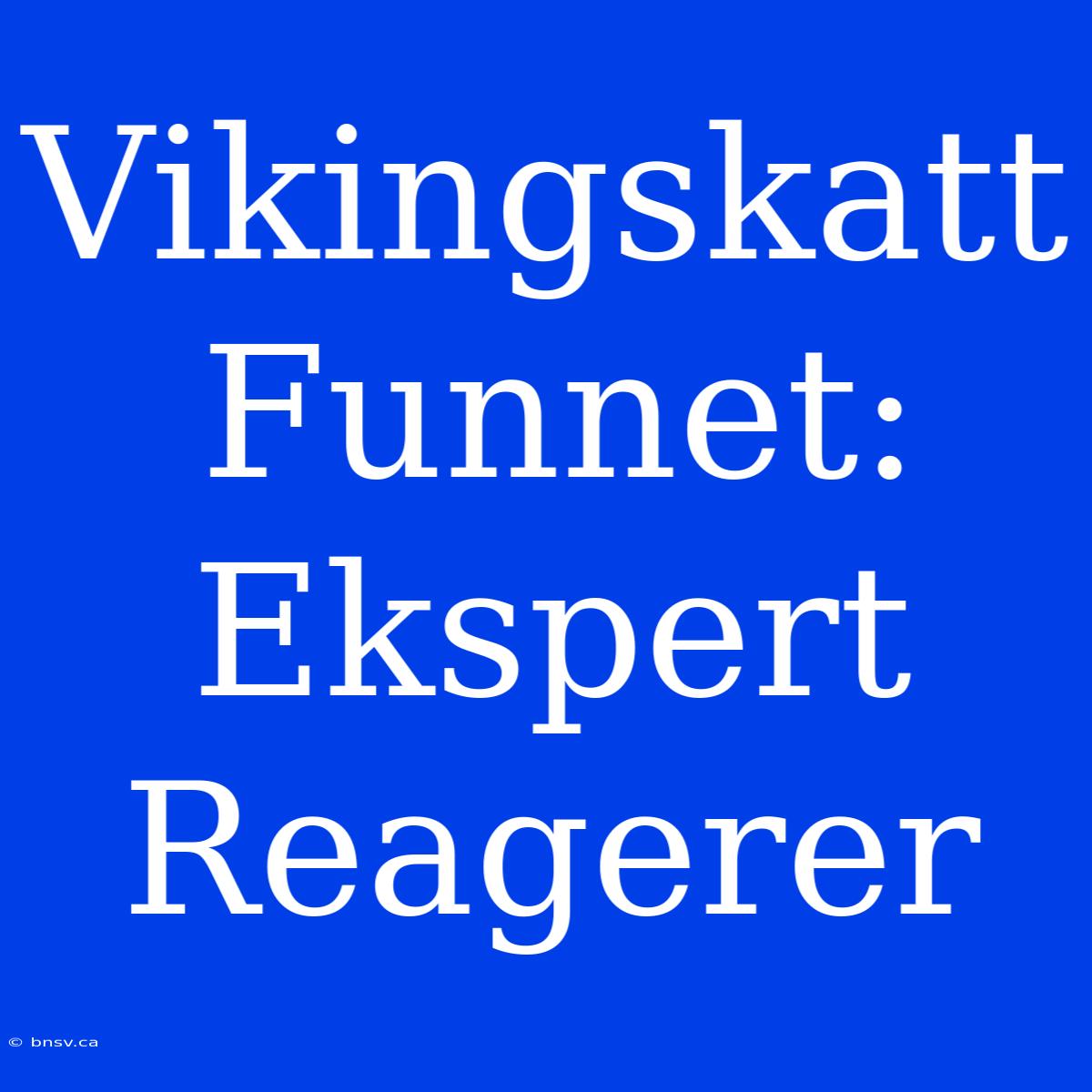 Vikingskatt Funnet: Ekspert Reagerer