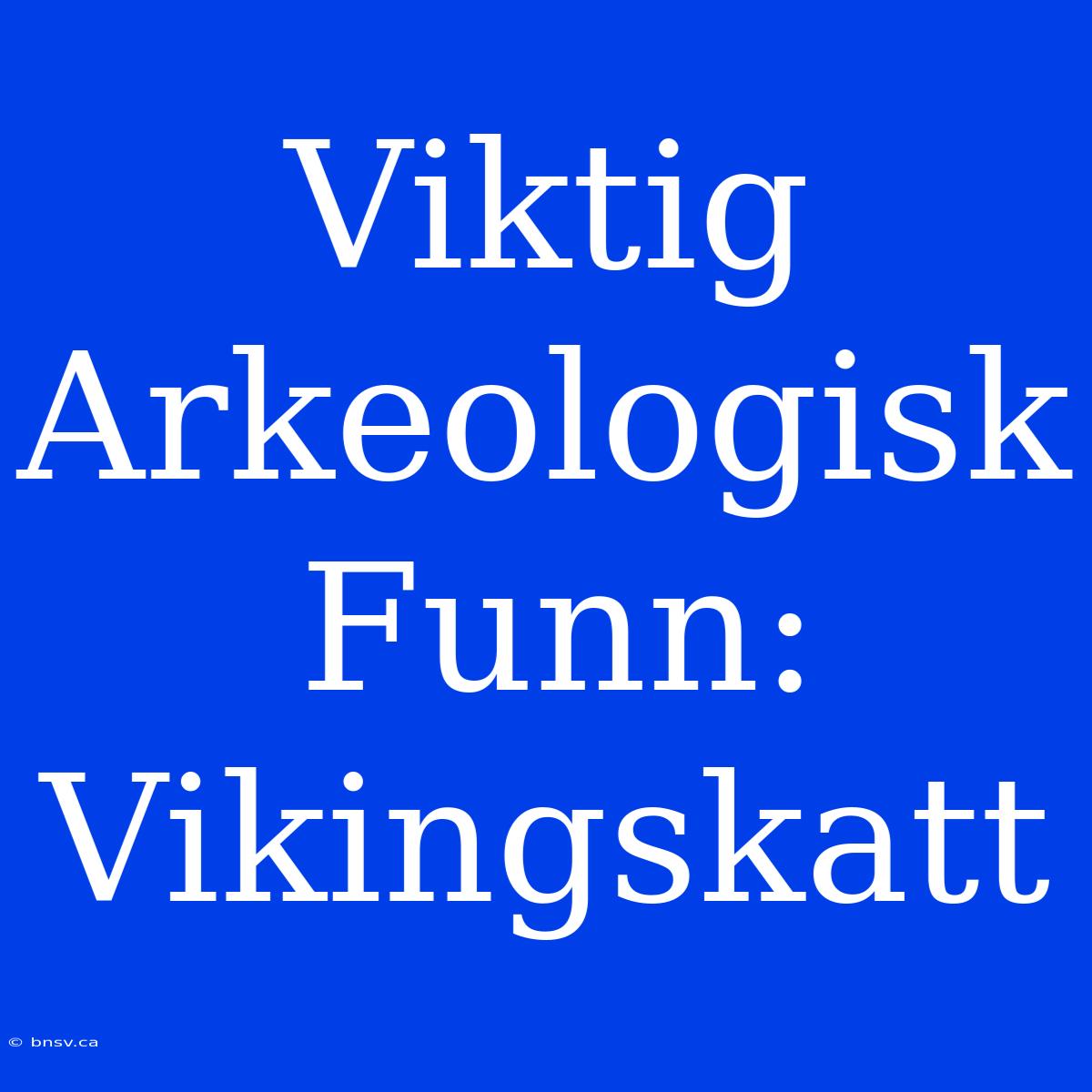 Viktig Arkeologisk Funn: Vikingskatt