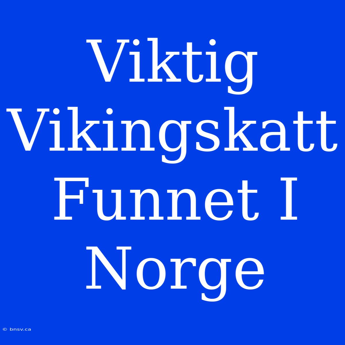 Viktig Vikingskatt Funnet I Norge