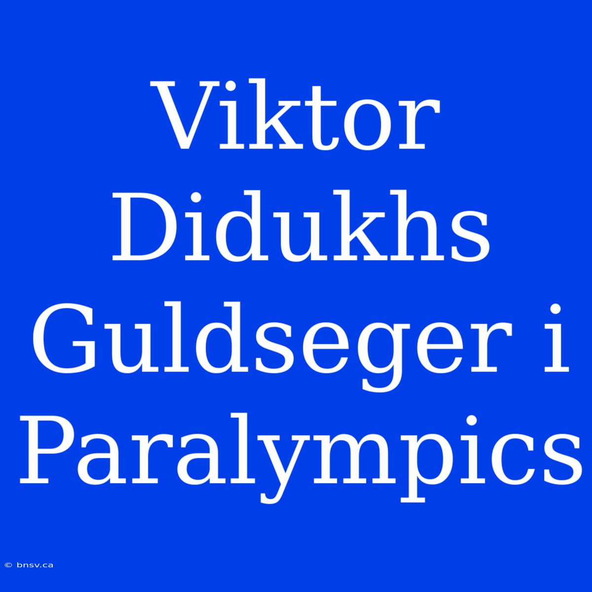 Viktor Didukhs Guldseger I Paralympics