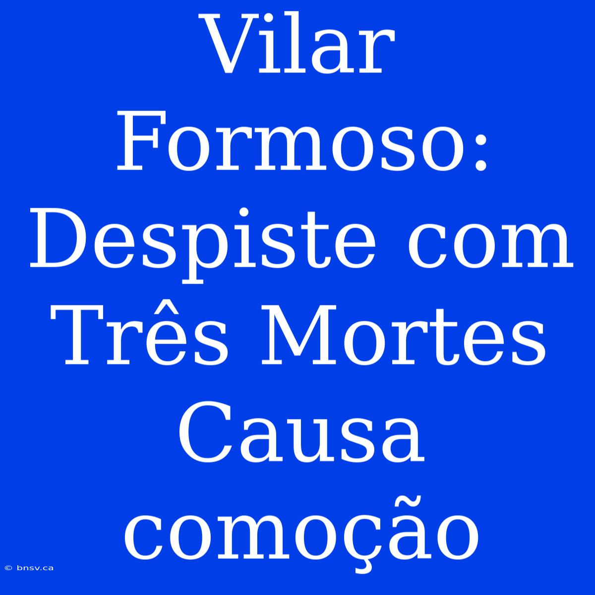 Vilar Formoso: Despiste Com Três Mortes Causa Comoção