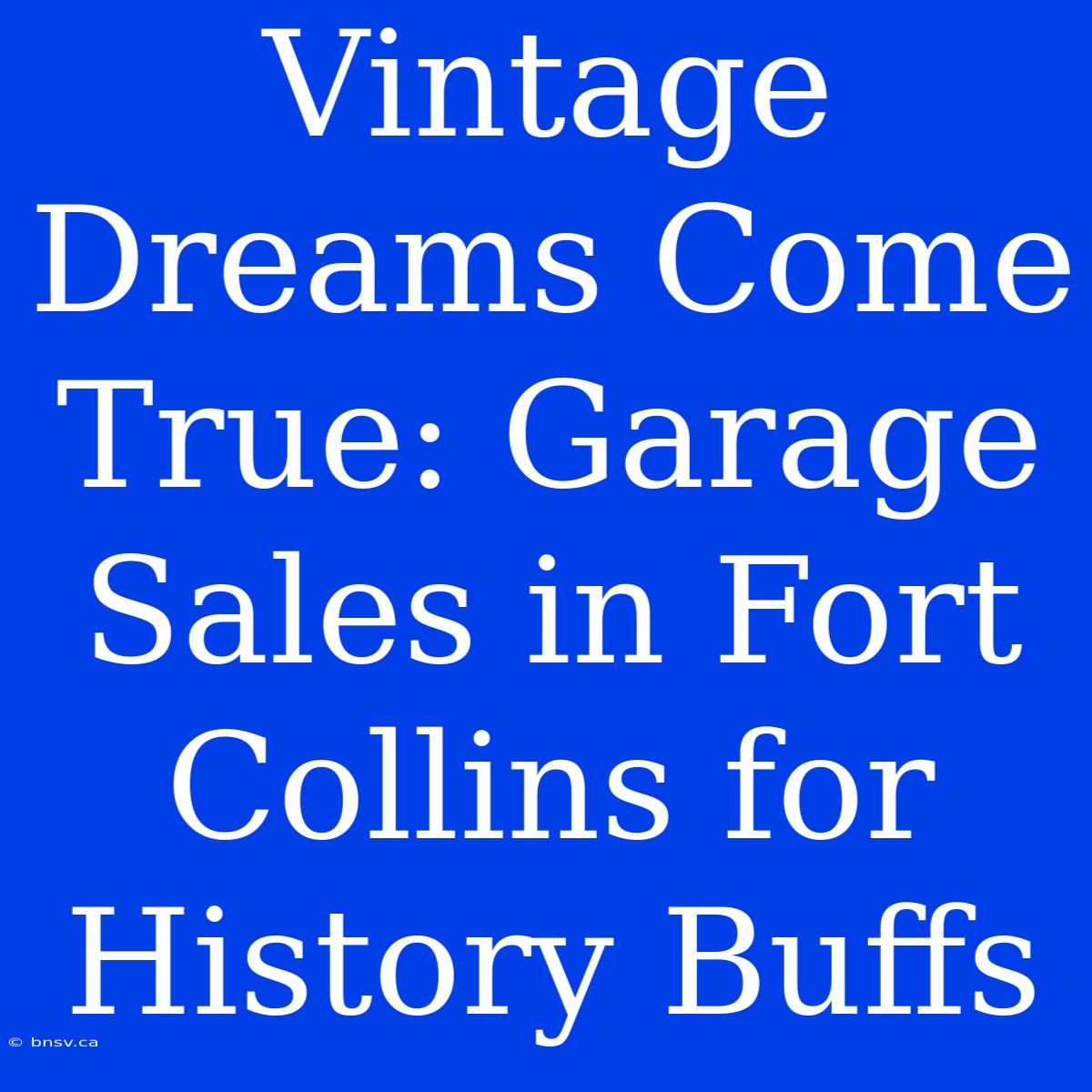 Vintage Dreams Come True: Garage Sales In Fort Collins For History Buffs