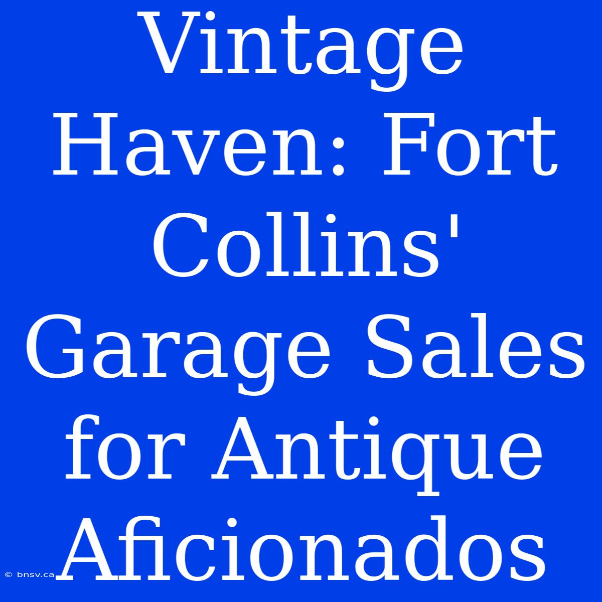 Vintage Haven: Fort Collins' Garage Sales For Antique Aficionados