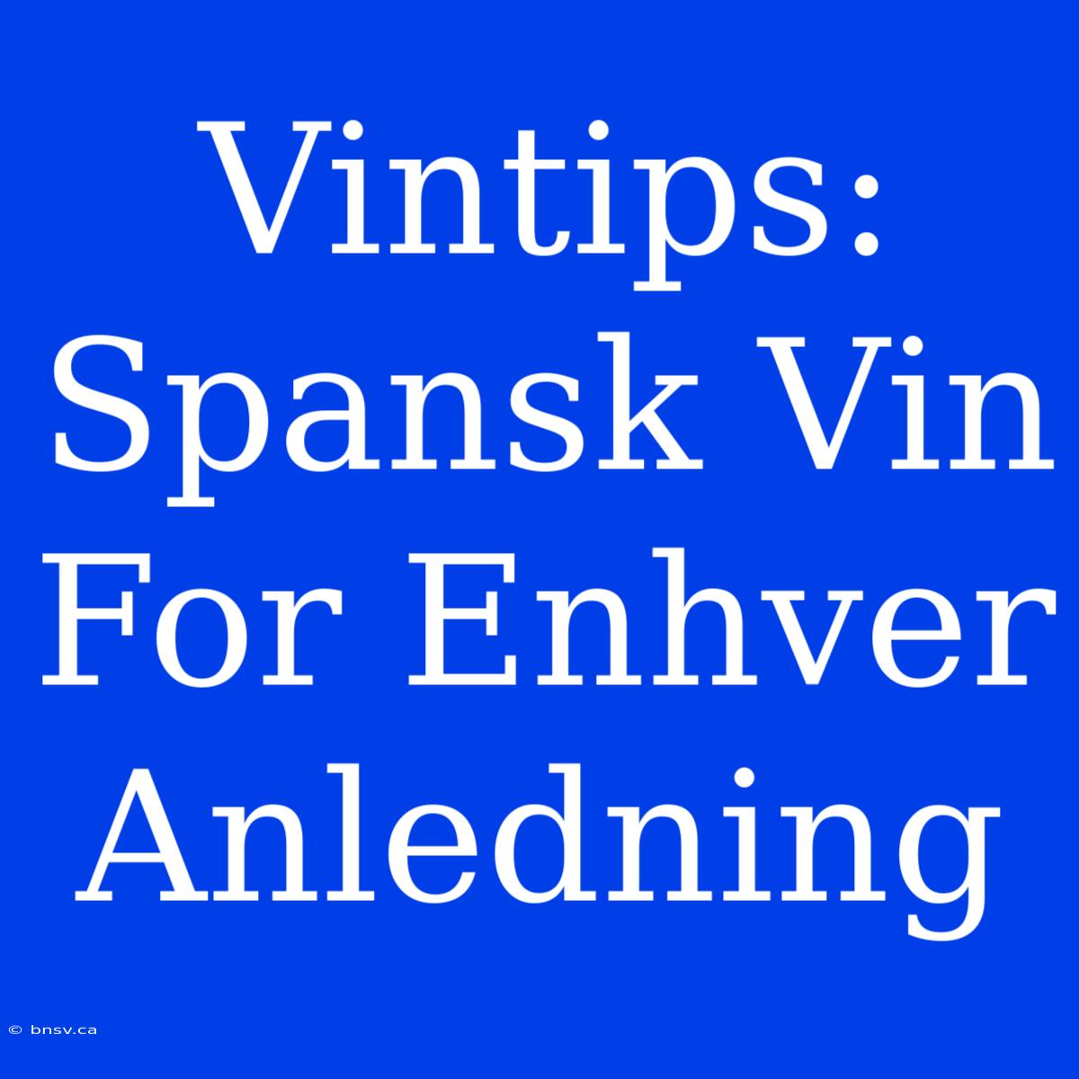 Vintips: Spansk Vin For Enhver Anledning