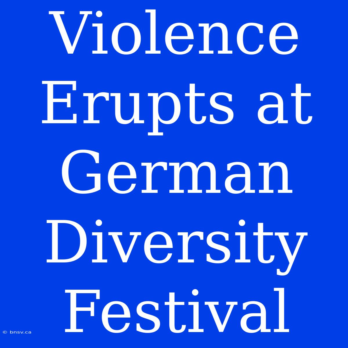 Violence Erupts At German Diversity Festival