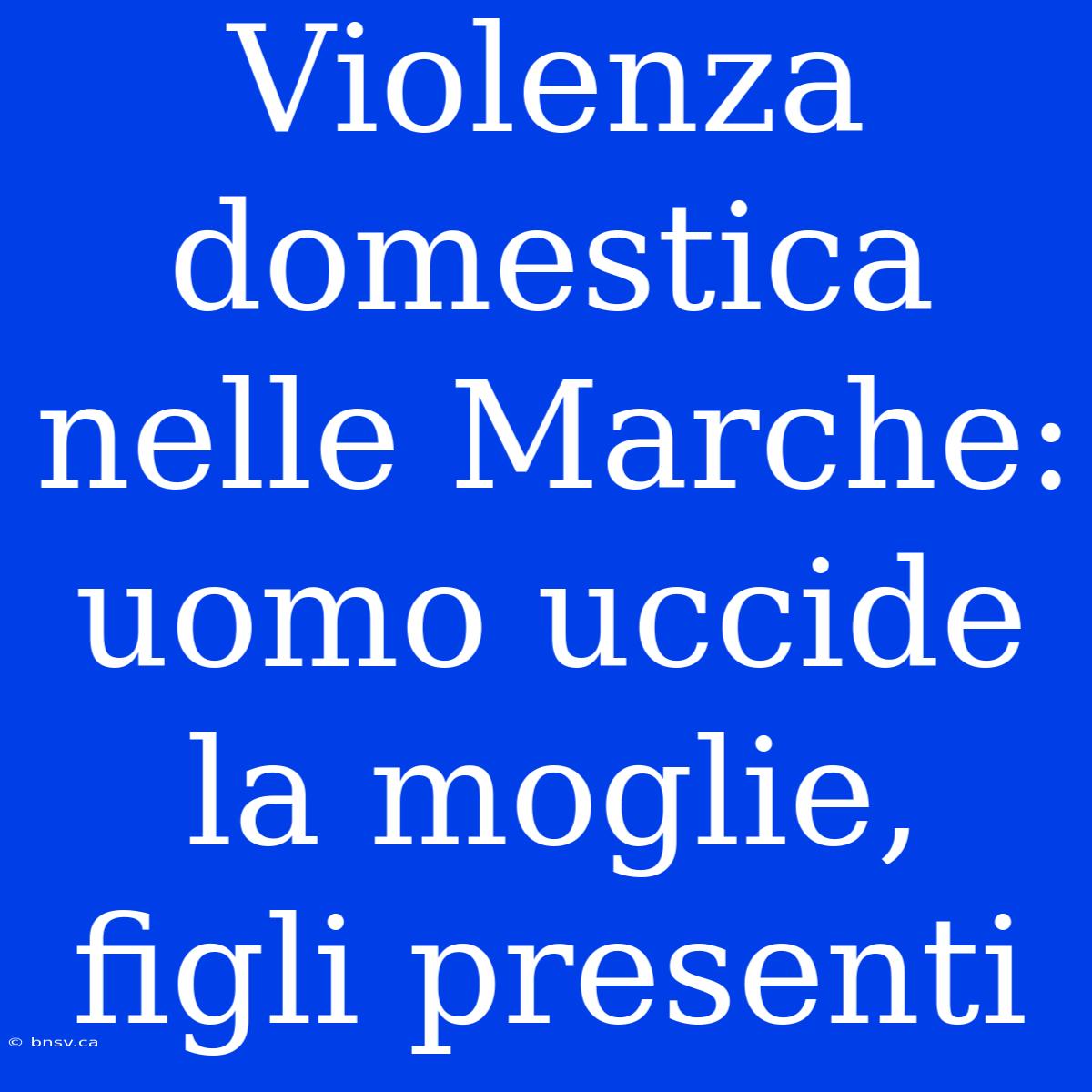 Violenza Domestica Nelle Marche: Uomo Uccide La Moglie, Figli Presenti