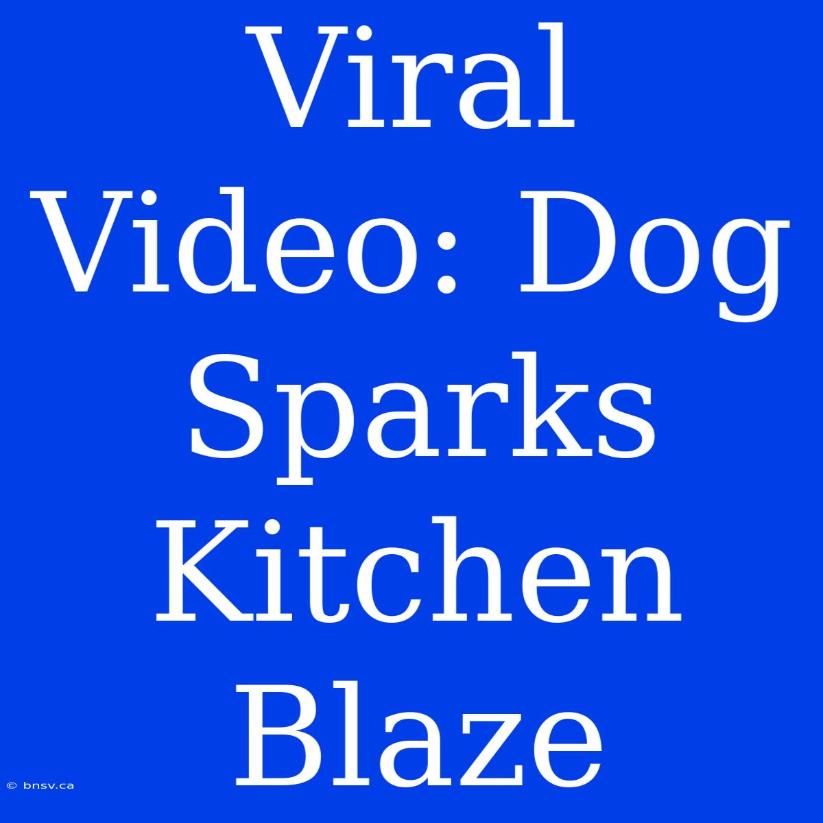 Viral Video: Dog Sparks Kitchen Blaze