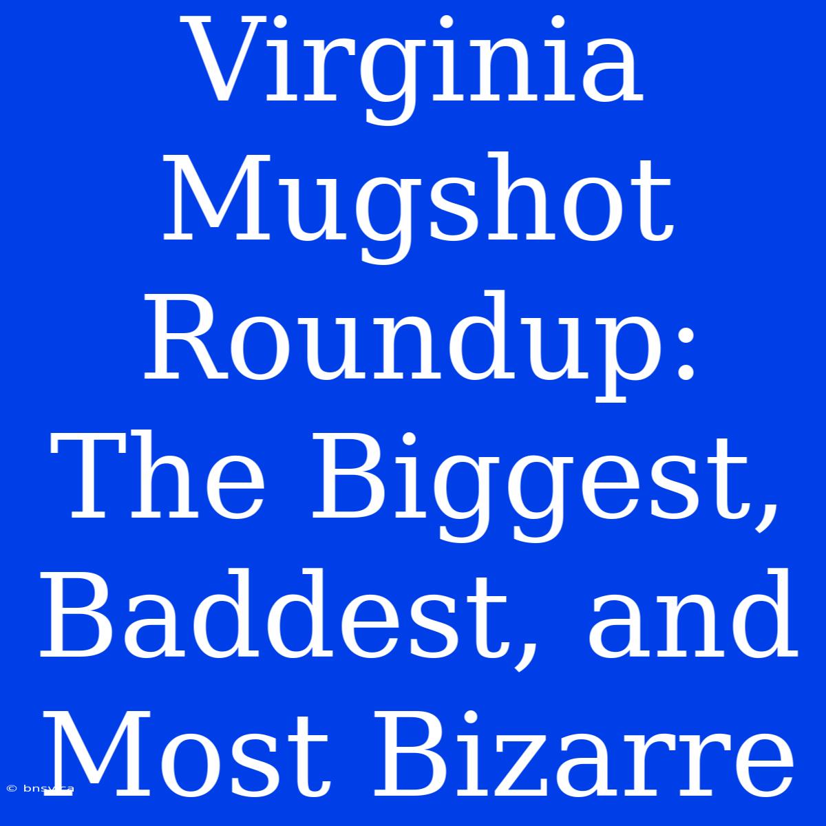 Virginia Mugshot Roundup: The Biggest, Baddest, And Most Bizarre