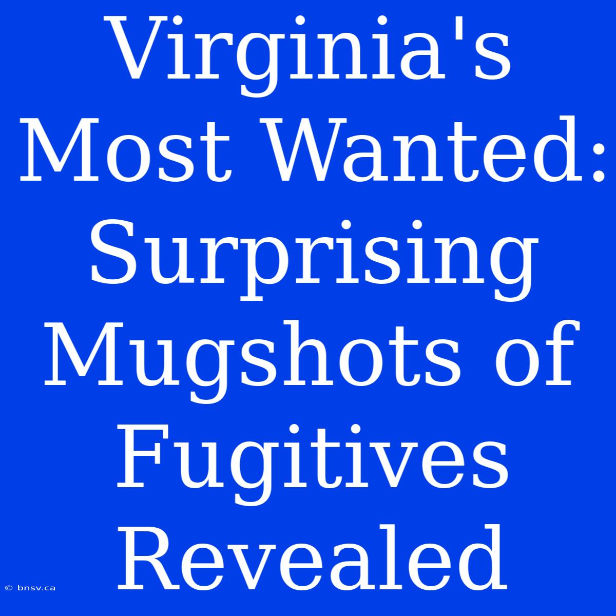 Virginia's Most Wanted: Surprising Mugshots Of Fugitives Revealed