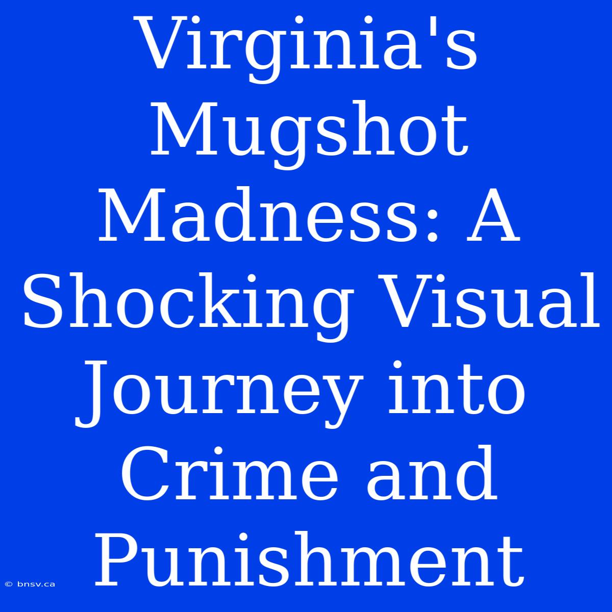 Virginia's Mugshot Madness: A Shocking Visual Journey Into Crime And Punishment