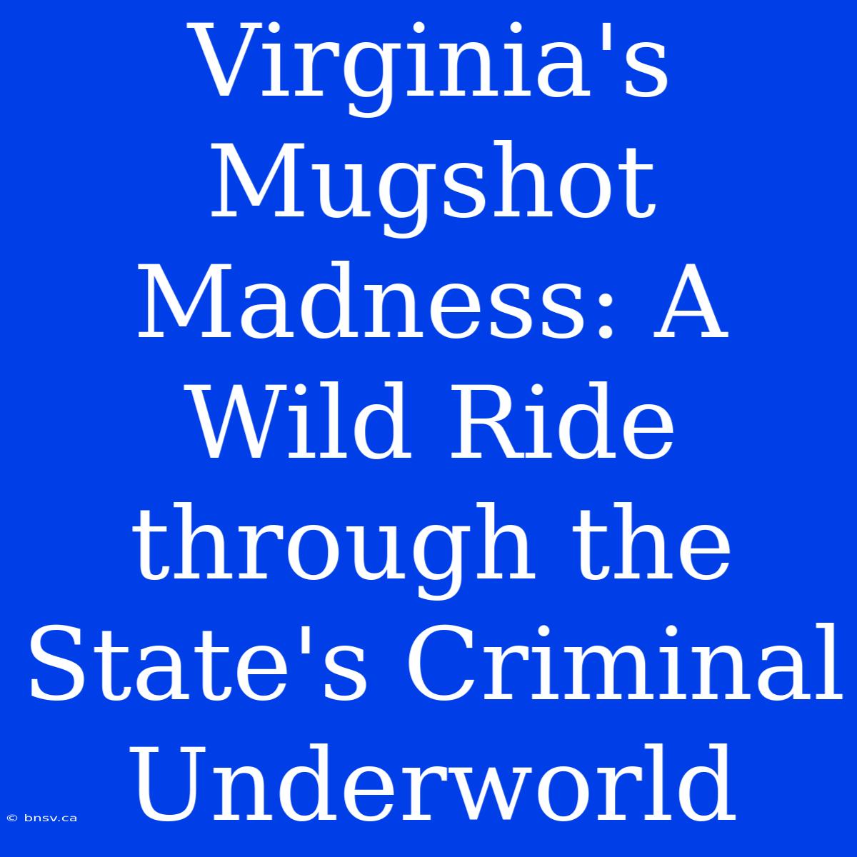 Virginia's Mugshot Madness: A Wild Ride Through The State's Criminal Underworld