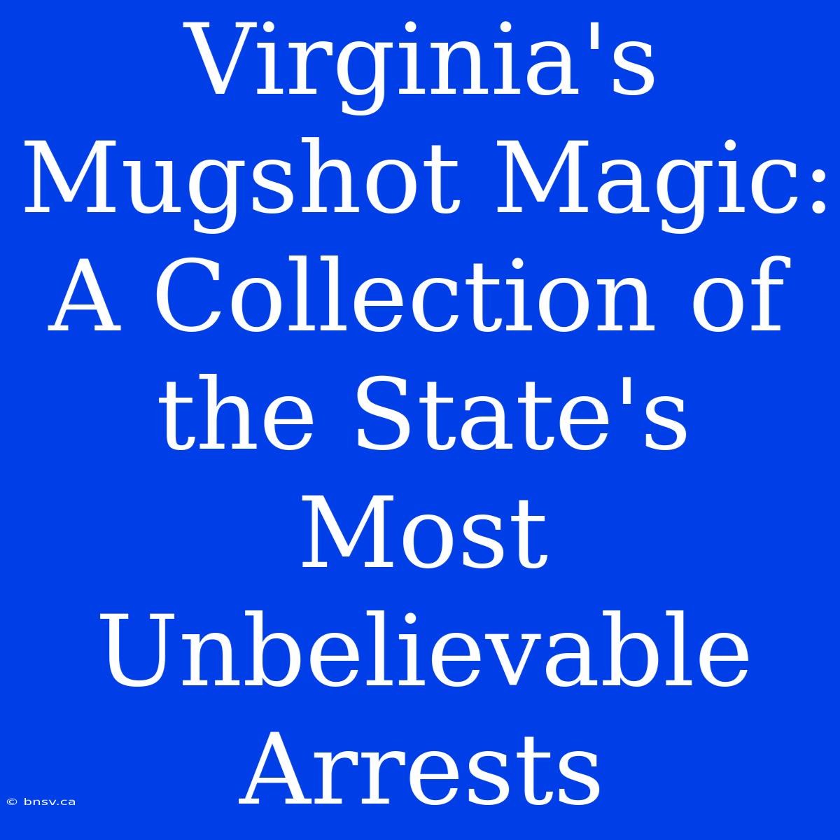 Virginia's Mugshot Magic: A Collection Of The State's Most Unbelievable Arrests