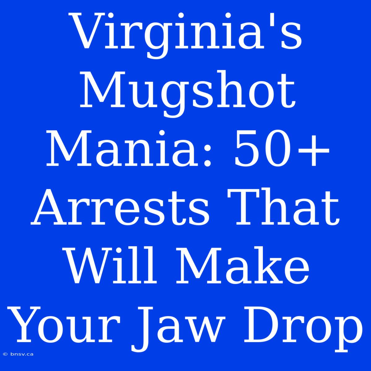 Virginia's Mugshot Mania: 50+ Arrests That Will Make Your Jaw Drop