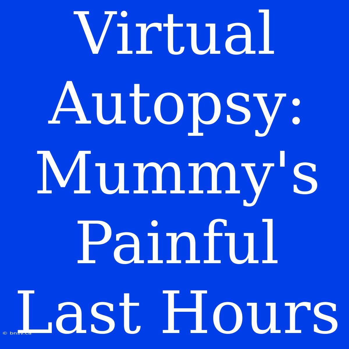 Virtual Autopsy: Mummy's Painful Last Hours