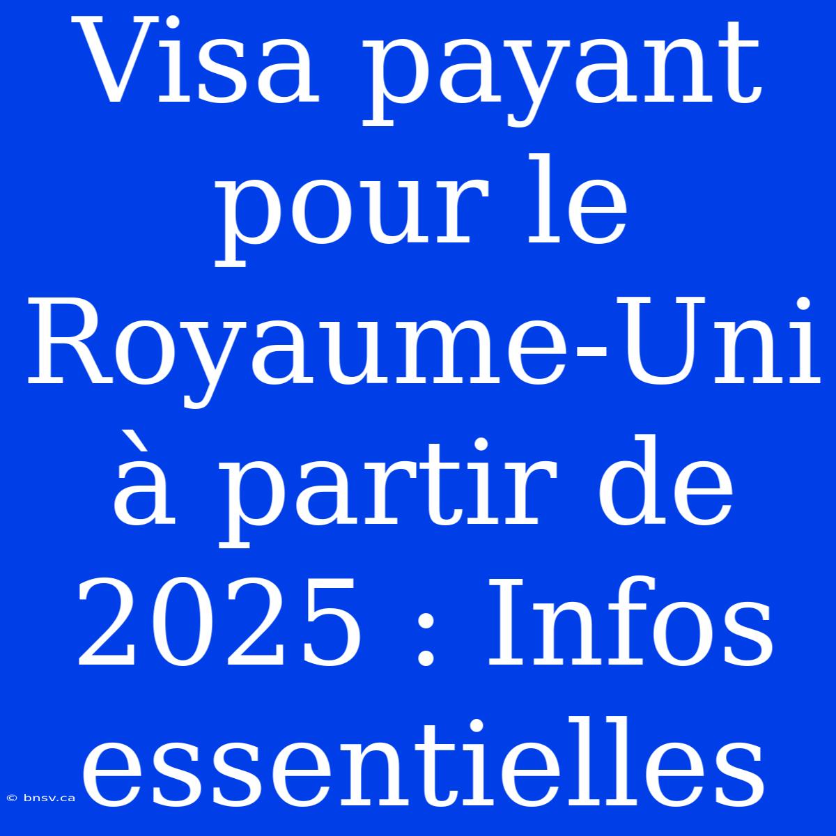 Visa Payant Pour Le Royaume-Uni À Partir De 2025 : Infos Essentielles