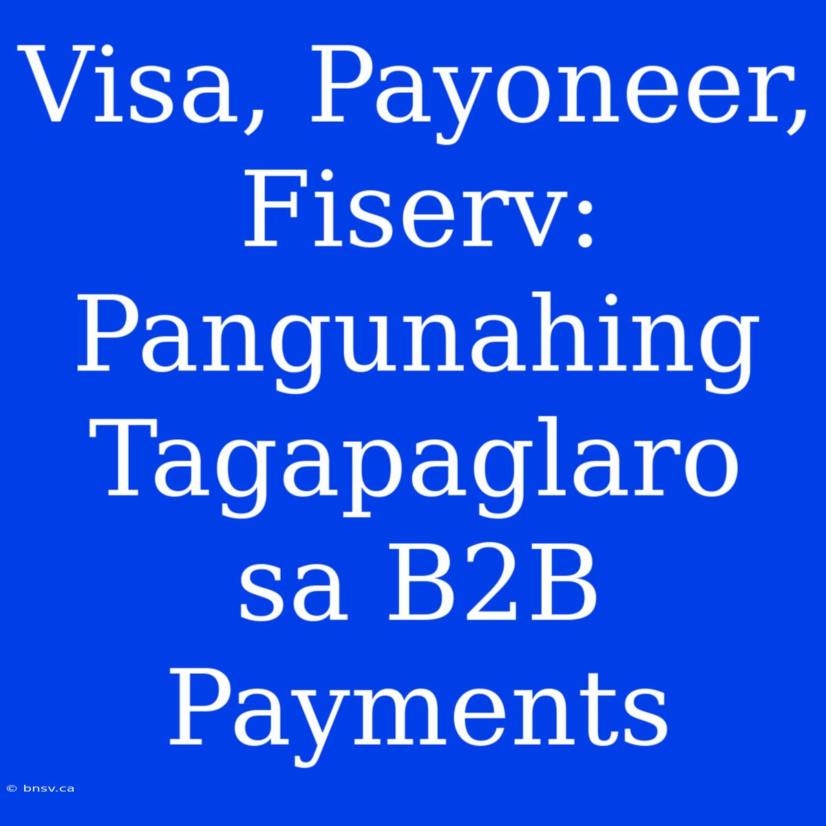 Visa, Payoneer, Fiserv: Pangunahing Tagapaglaro Sa B2B Payments