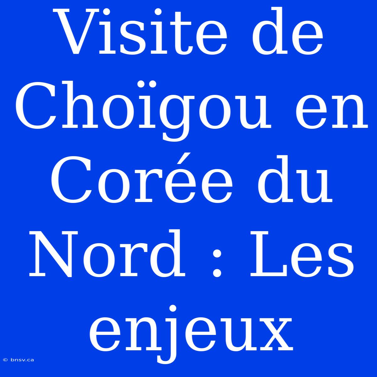 Visite De Choïgou En Corée Du Nord : Les Enjeux