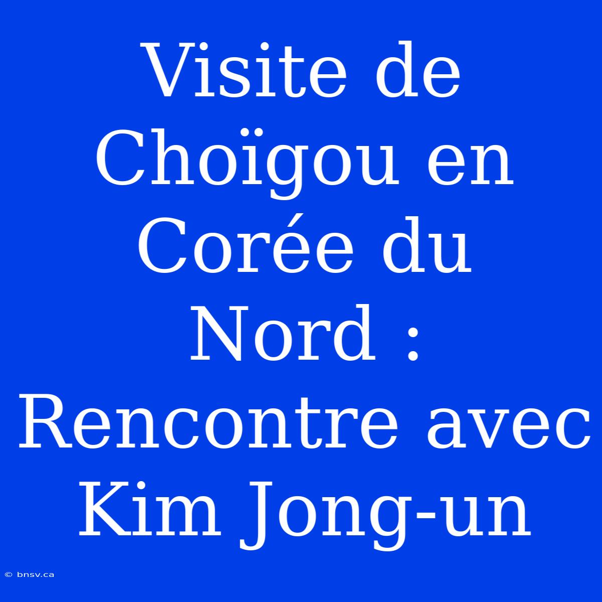 Visite De Choïgou En Corée Du Nord : Rencontre Avec Kim Jong-un