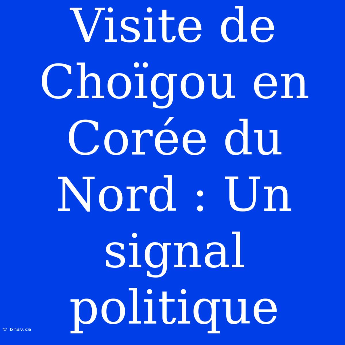 Visite De Choïgou En Corée Du Nord : Un Signal Politique