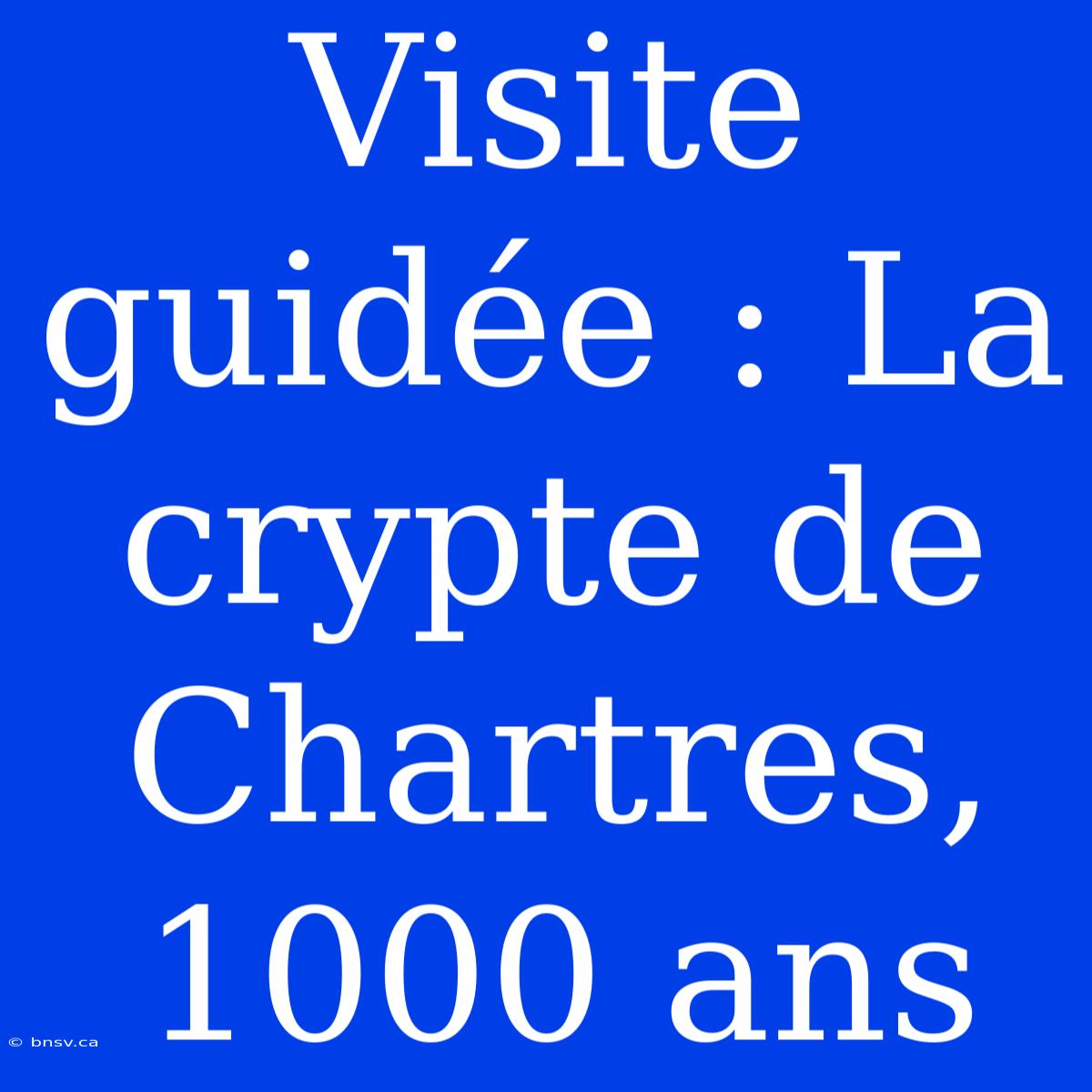 Visite Guidée : La Crypte De Chartres, 1000 Ans