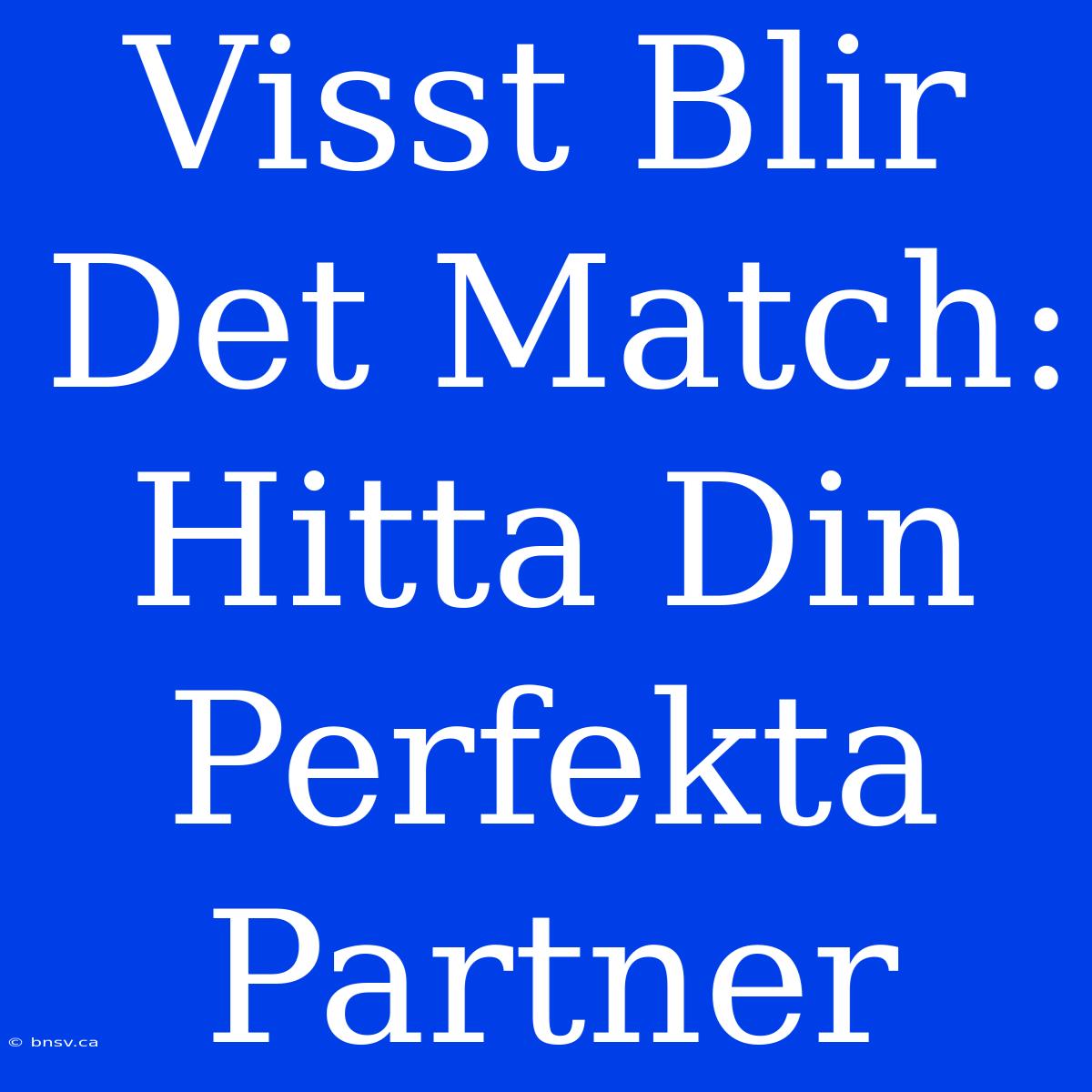 Visst Blir Det Match: Hitta Din Perfekta Partner