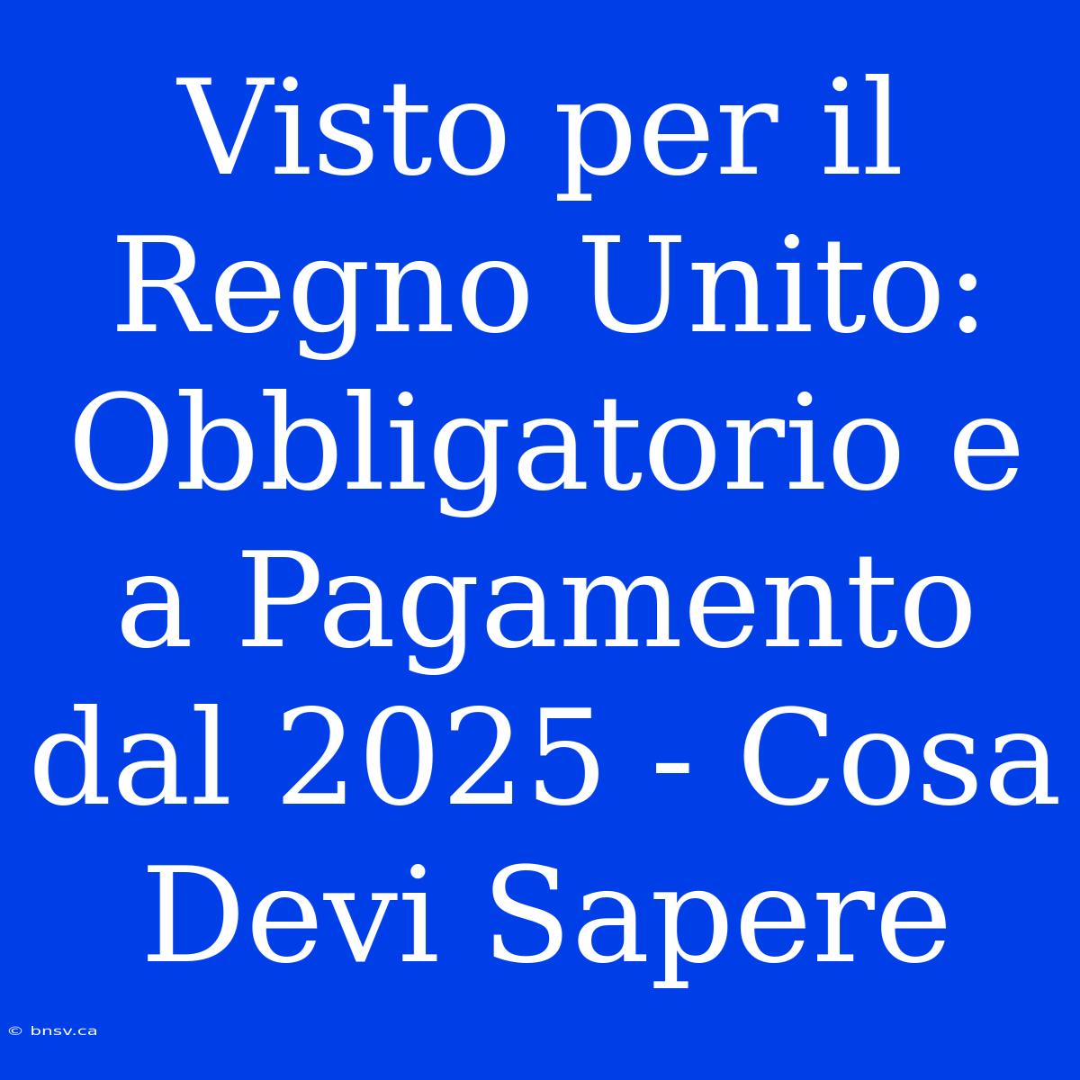 Visto Per Il Regno Unito: Obbligatorio E A Pagamento Dal 2025 - Cosa Devi Sapere