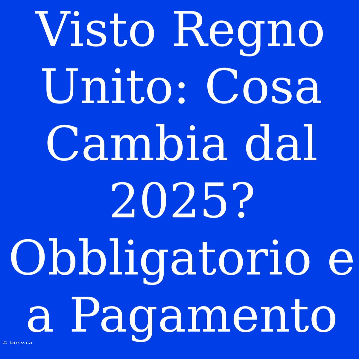 Visto Regno Unito: Cosa Cambia Dal 2025? Obbligatorio E A Pagamento