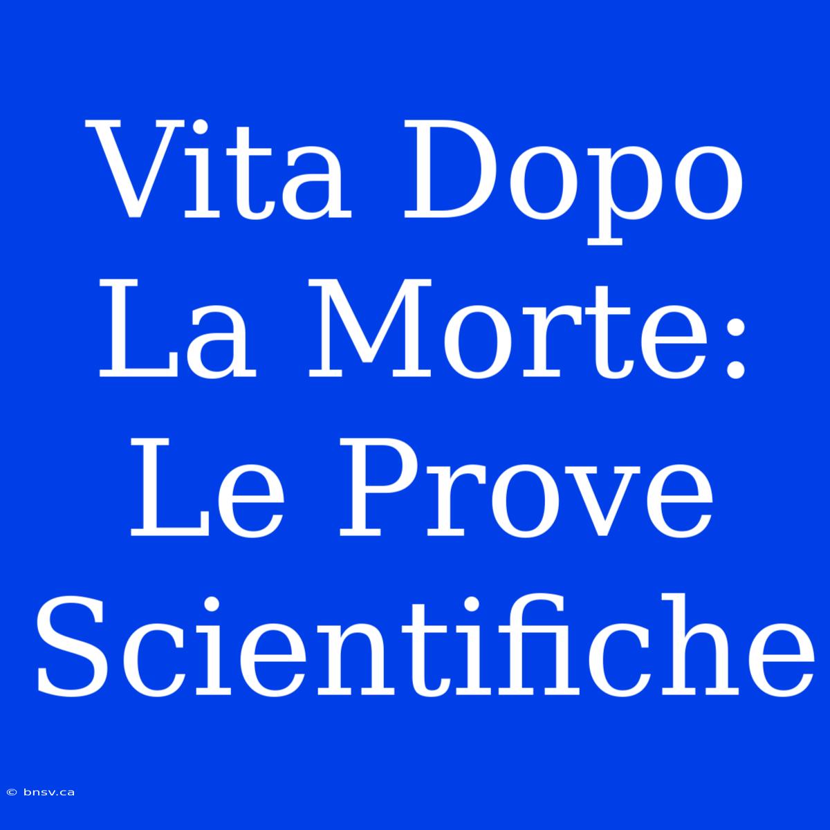 Vita Dopo La Morte: Le Prove Scientifiche