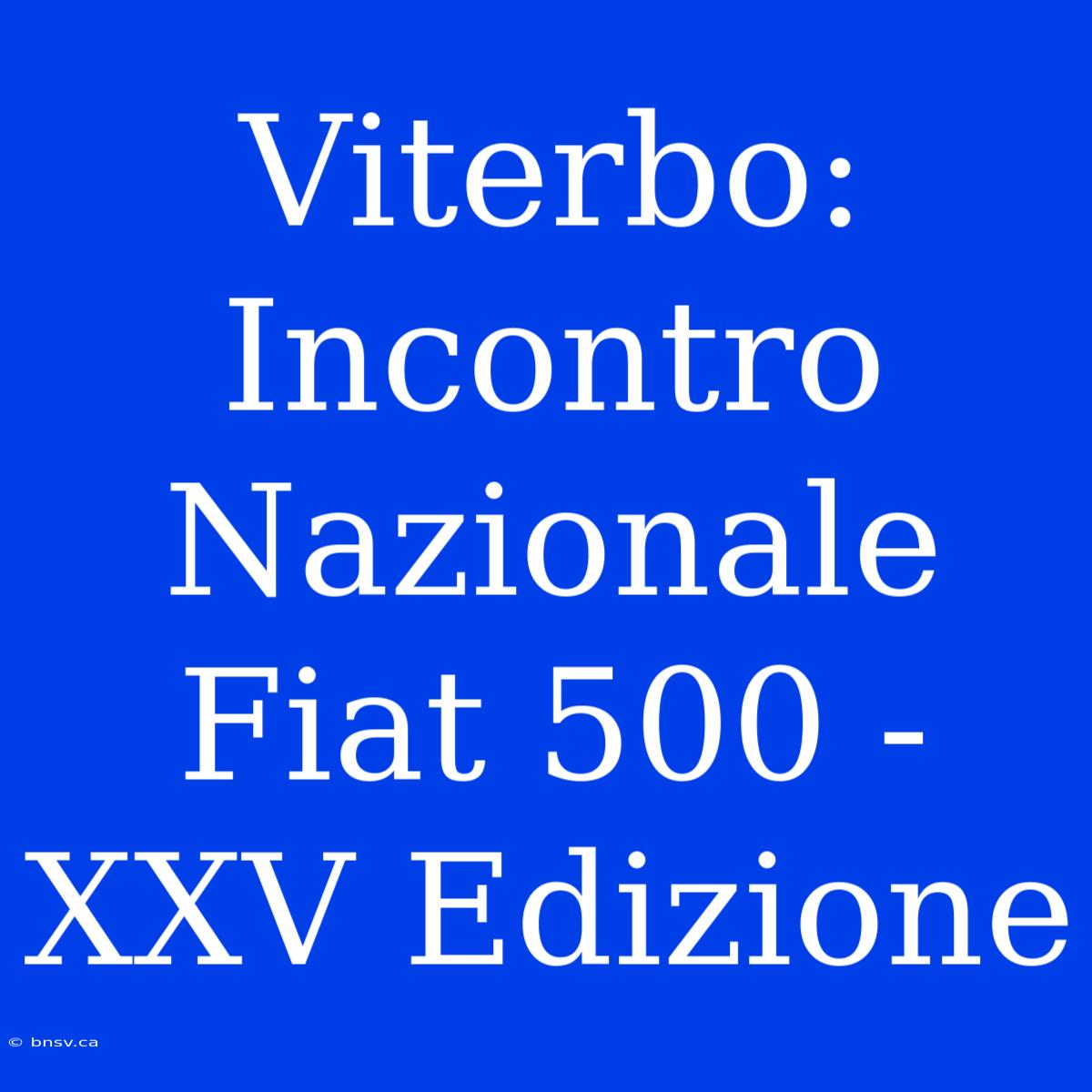 Viterbo: Incontro Nazionale Fiat 500 - XXV Edizione