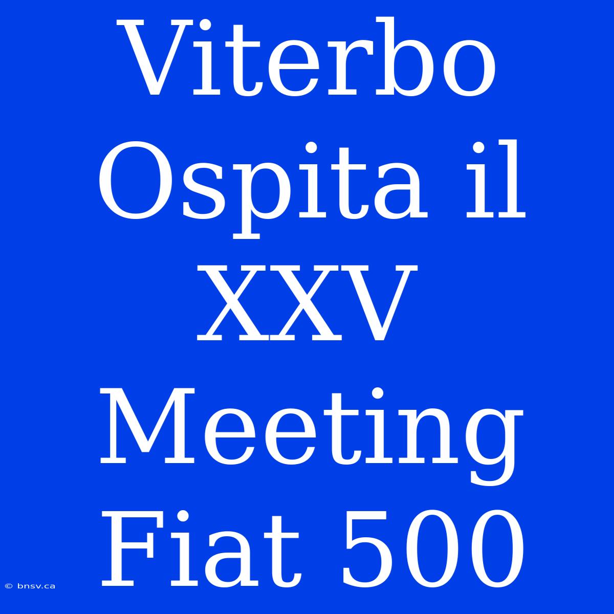 Viterbo Ospita Il XXV Meeting Fiat 500