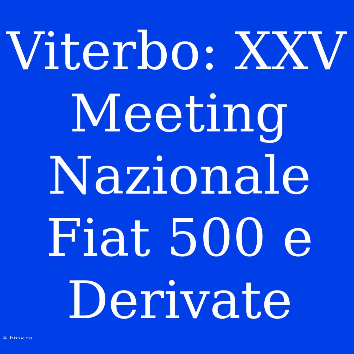 Viterbo: XXV Meeting Nazionale Fiat 500 E Derivate